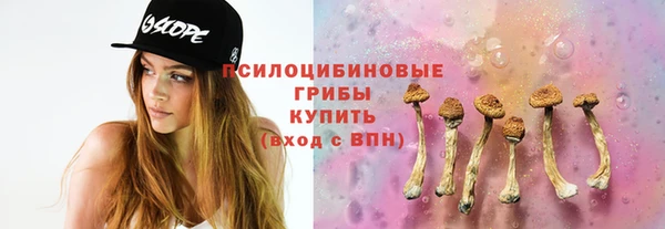 прущие крисы Алексин
