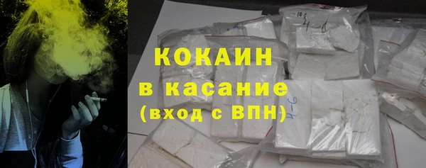 ГАЛЛЮЦИНОГЕННЫЕ ГРИБЫ Алзамай