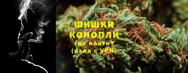 ГАЛЛЮЦИНОГЕННЫЕ ГРИБЫ Алзамай