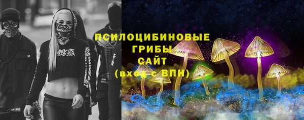 ГАЛЛЮЦИНОГЕННЫЕ ГРИБЫ Алзамай