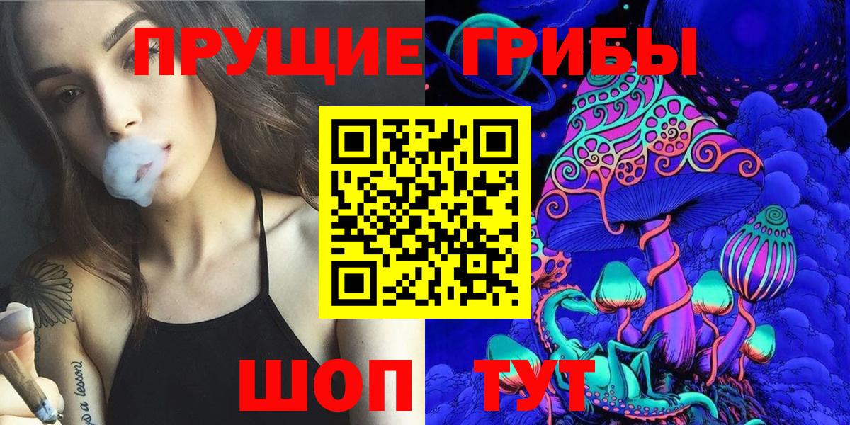 Дзержинский  Галлюциногенные грибы Cubensis  Вход с VPN 