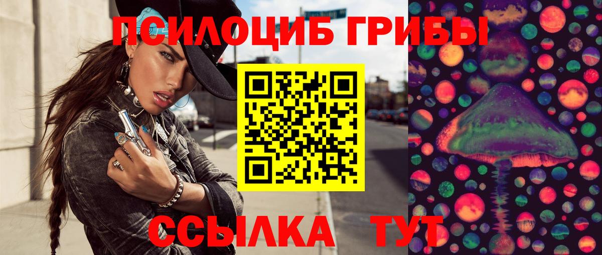 Псилоцибиновые грибы мицелий Дзержинский